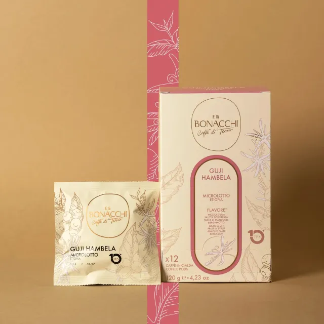 Bonacchi Guji Hambela cialde 10g 50 pezzi Etiopia