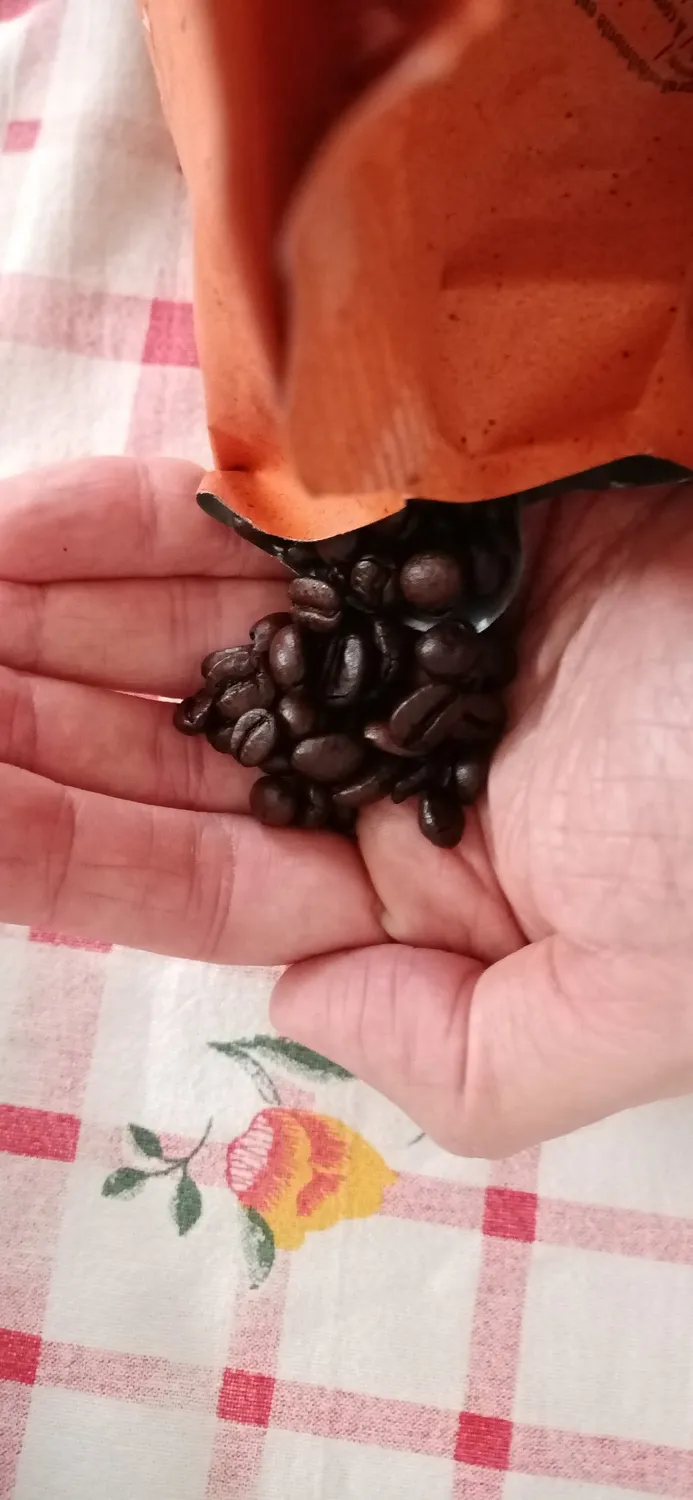 Caffè Motta Espresso Classico caffè in grani 1 kg tostatura forte