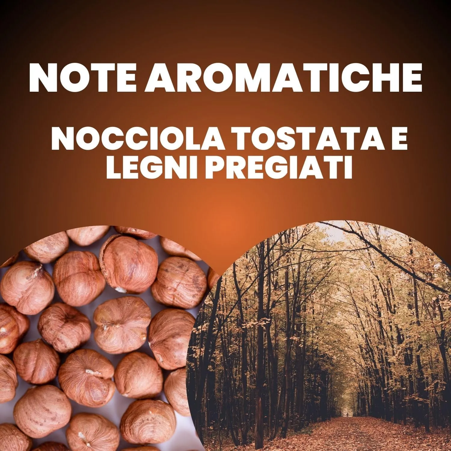 Caffè Motta Espresso Cremoso cialde ESE 150 compostabili