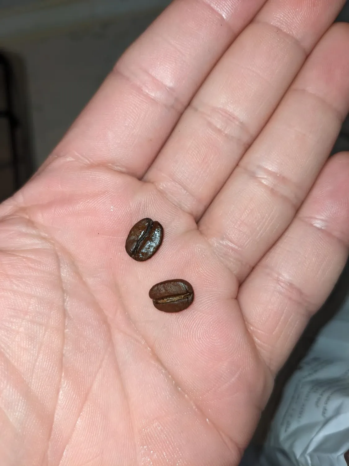Almanegra Forte caffè in grani 1 kg tostatura scura