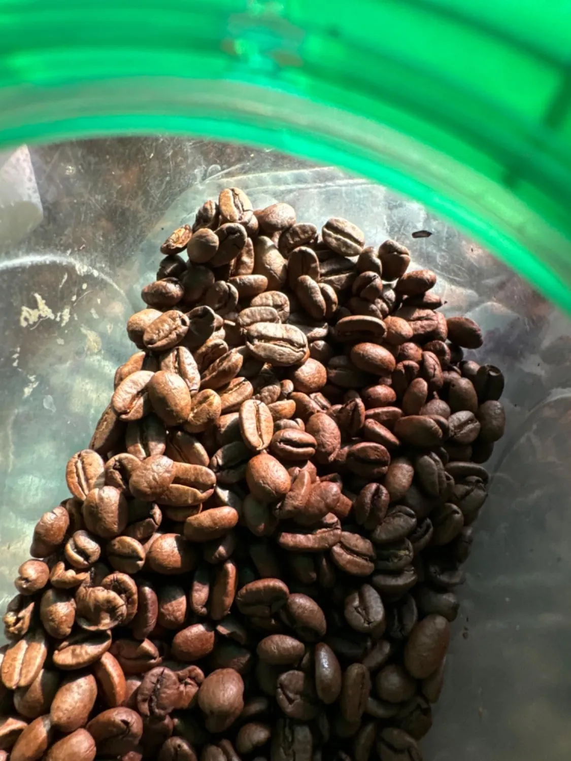Lavazza Qualità Oro caffè in grani 1 kg 100% arabica