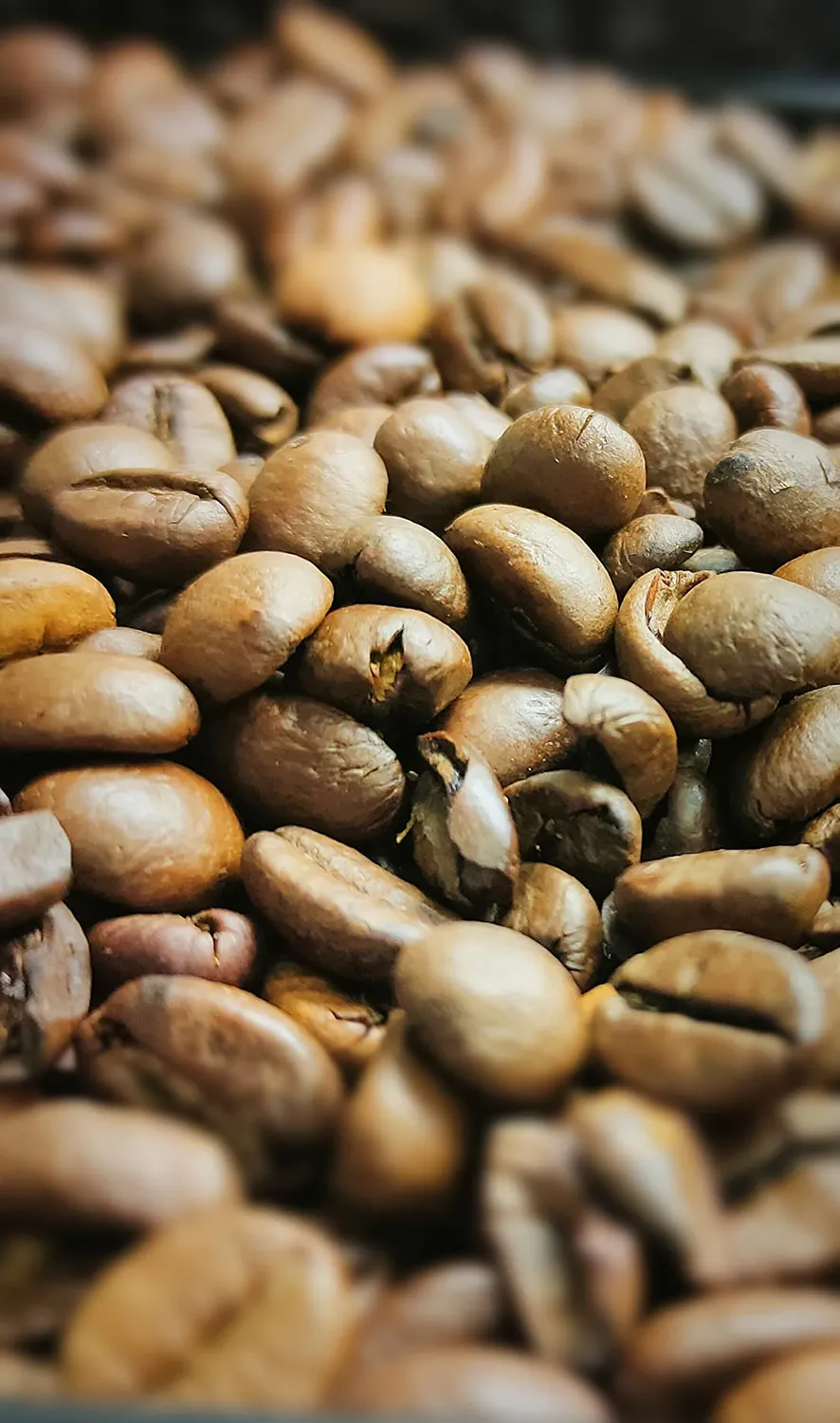 Lavazza Crema e Gusto Forte caffè in grani 1 kg tostatura scura