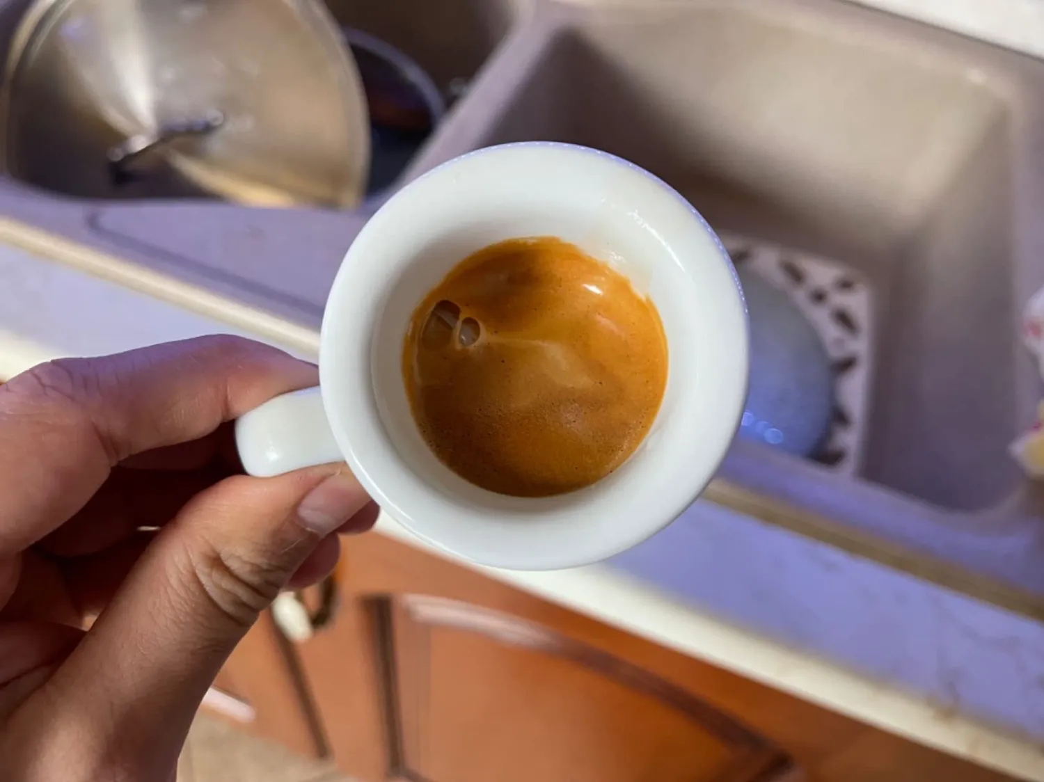 Almanegra Miscela Forte capsule Esse Caffè 100 pz tostatura scura