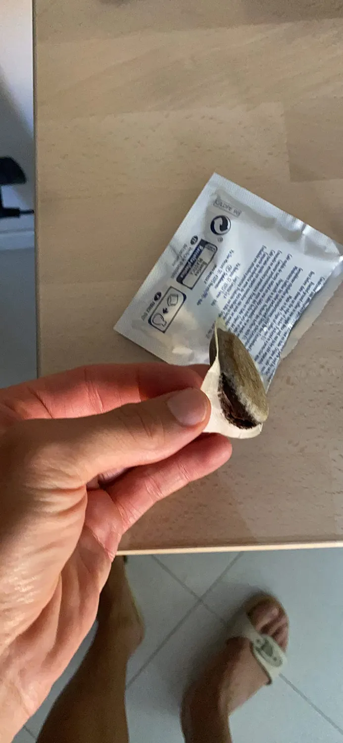 Lavazza Gran Espresso Intenso cialde ESE 150 pz intenso